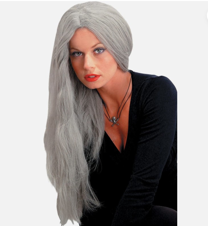 24 Straight Grey Adult Costume Wig