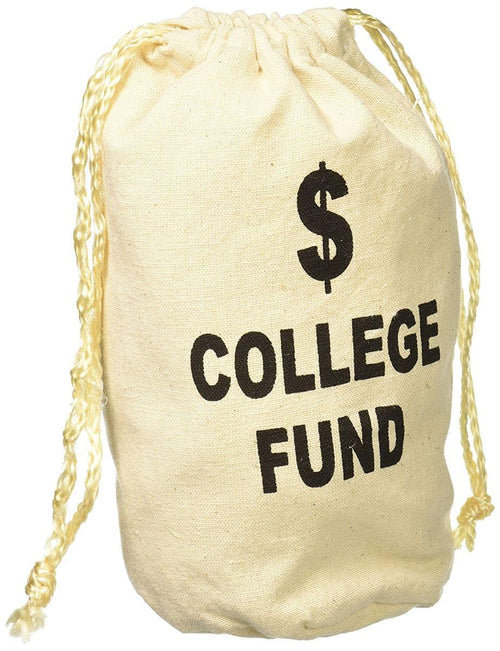 College Fund Money Bag