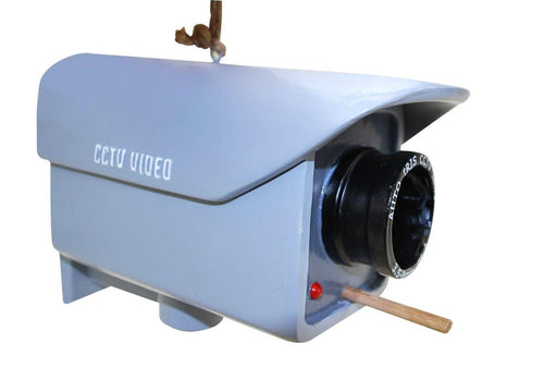 Birdhouse Security Camera