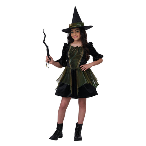 Emerald City Witch Child Costume