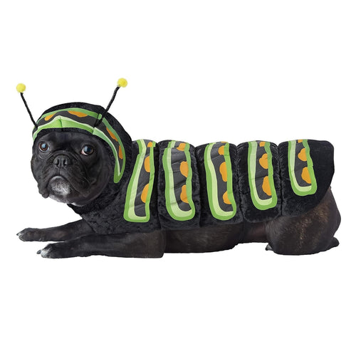 Caterpillar