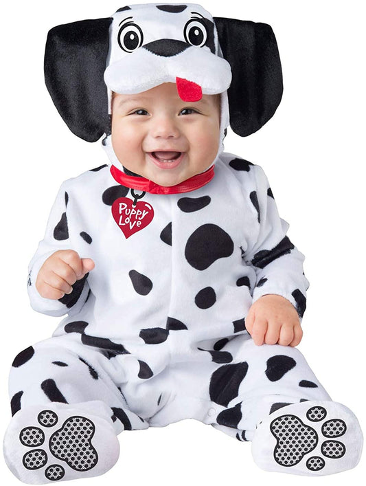 Baby Dalmation