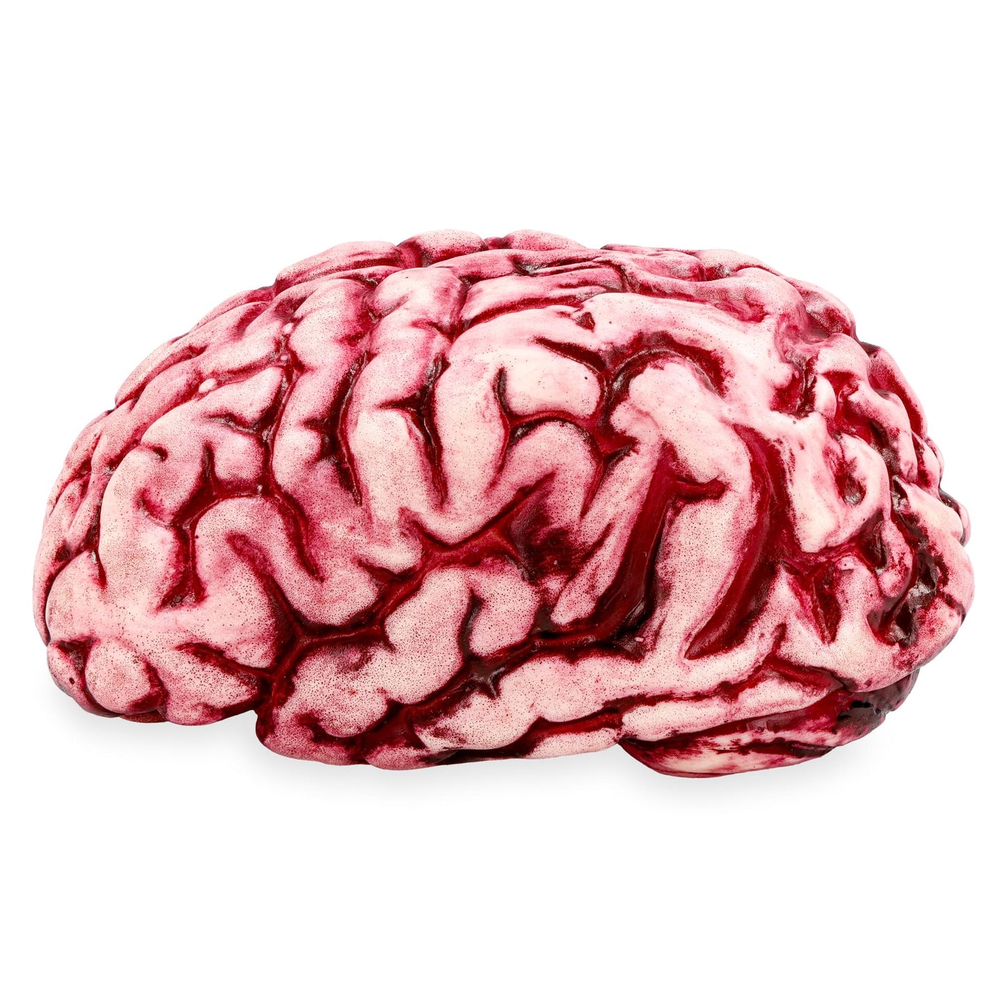 Butcher Shop Bloody Brain Plastic Halloween Prop