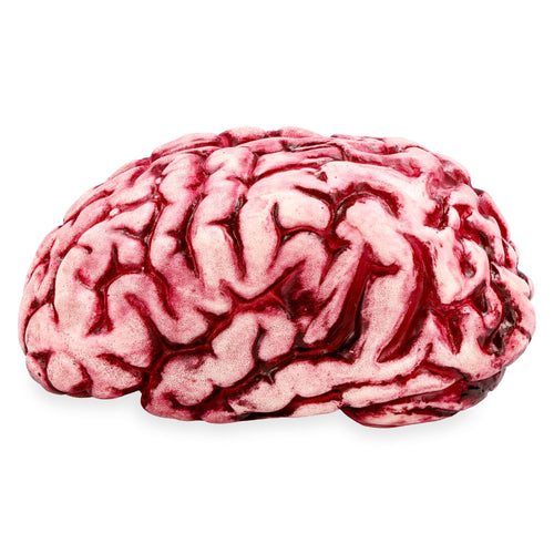 Butcher Shop Bloody Brain Plastic Halloween Prop