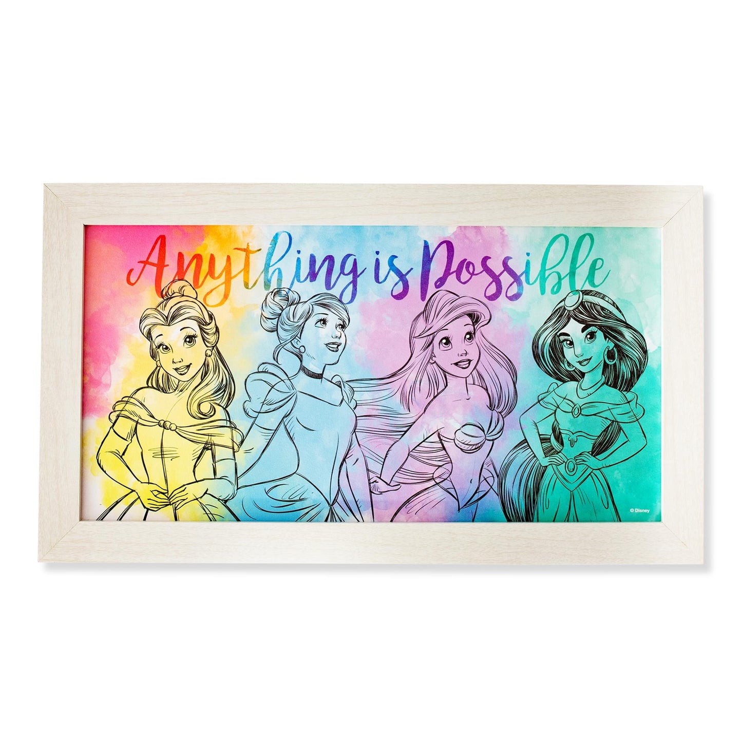 Disney Princess Anything Is Possible Wooden Hanging Wall Art | 10 x 18 Inches