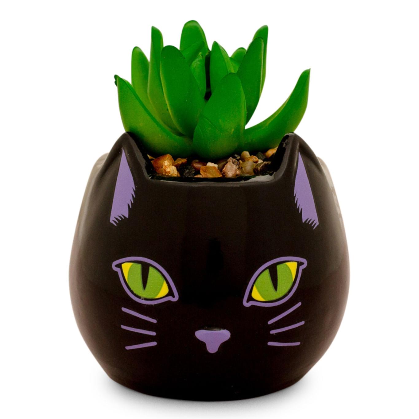 Disney Hocus Pocus Binx Is My Boo Ceramic Planter with Artificial Succulent
